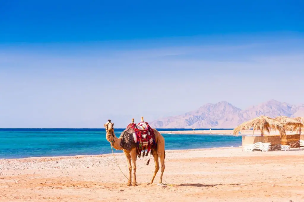 Freizeitaktivitaeten in Hurghada