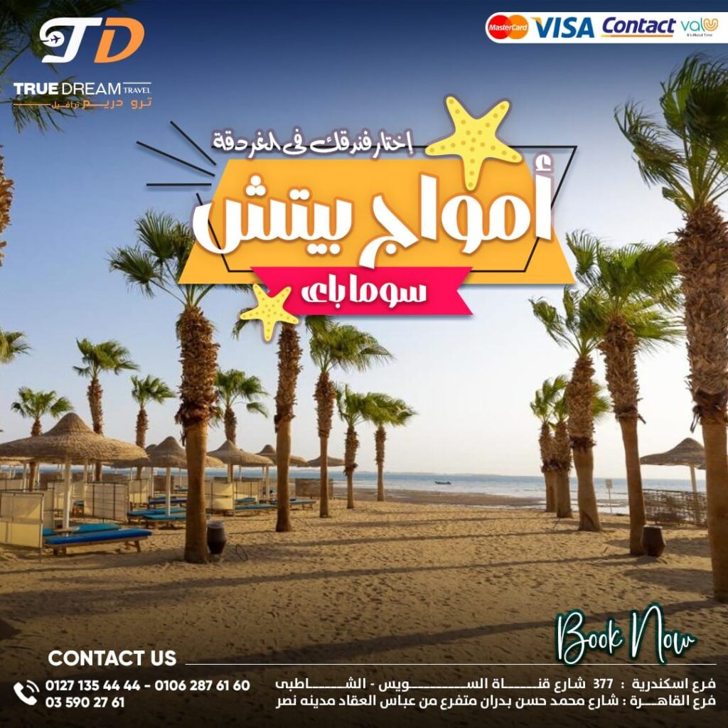 497523397 1128189086019647 186305742623225758 n